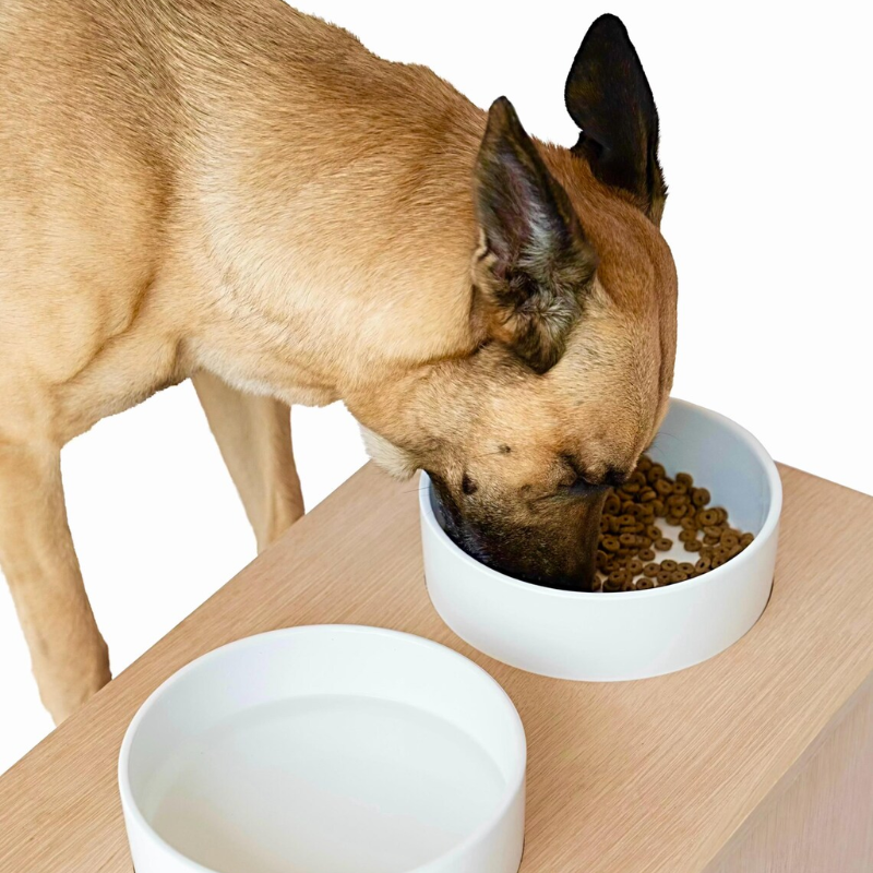 Double Bowl Dog Feeding Station