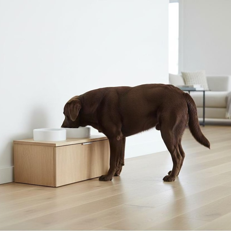 Double Bowl Dog Feeding Station
