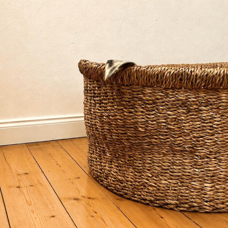Woven Seagrass Dog Bed with Cushion